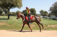 0903TDAA_1707