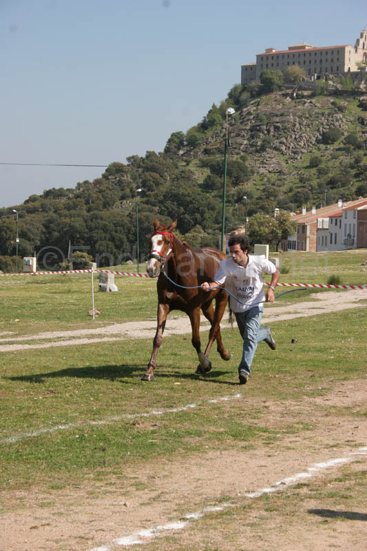 0903TDAA_1743