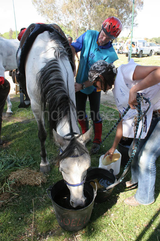 0903TDAA_1755