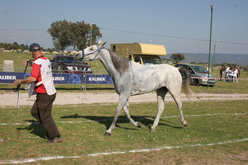 0903TDAA_1762