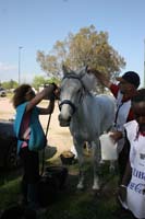 0903TDAA_1756