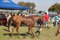 0903TDAA_1757