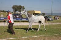 0903TDAA_1762