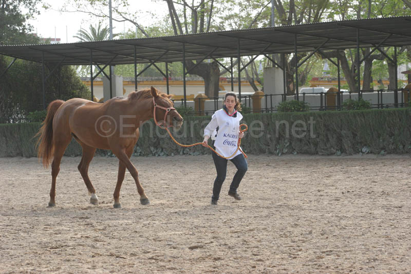 0903TDAA_045