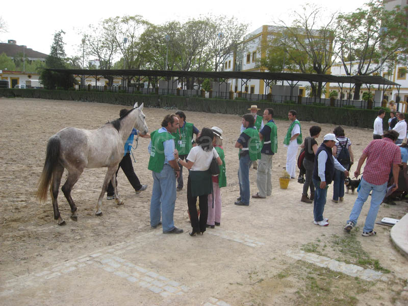 0903TDAA_052A