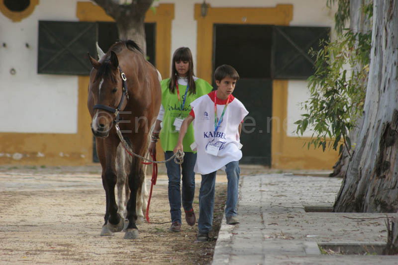0903TDAA_061