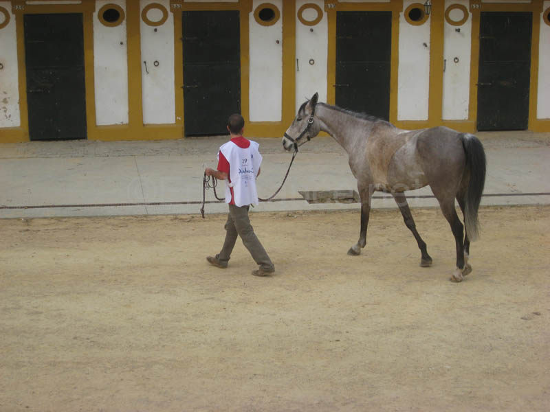 0903TDAA_062A