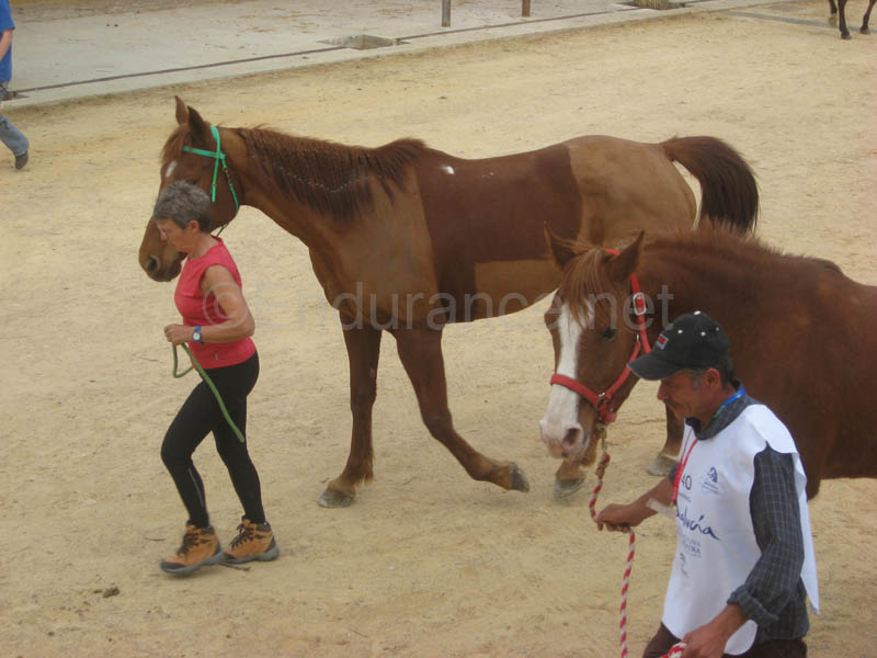 0903TDAA_062B