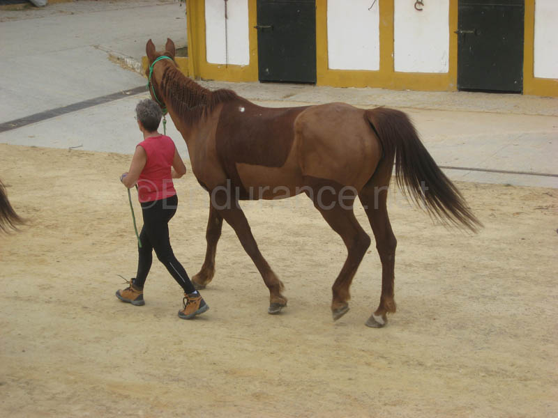 0903TDAA_062C