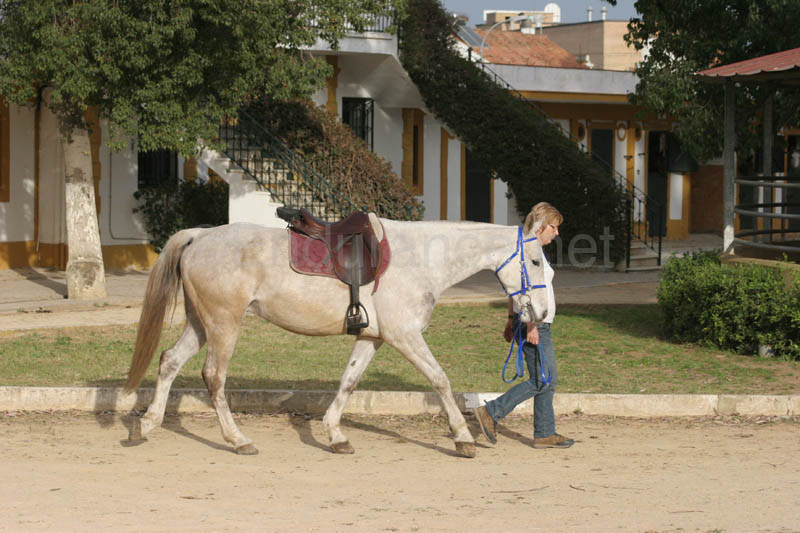 0903TDAA_063
