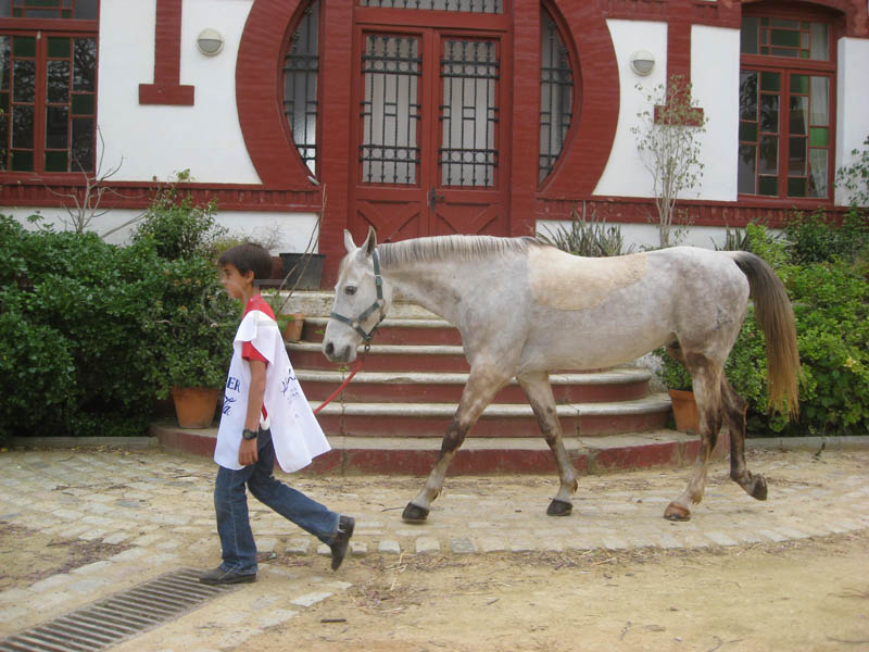0903TDAA_065C