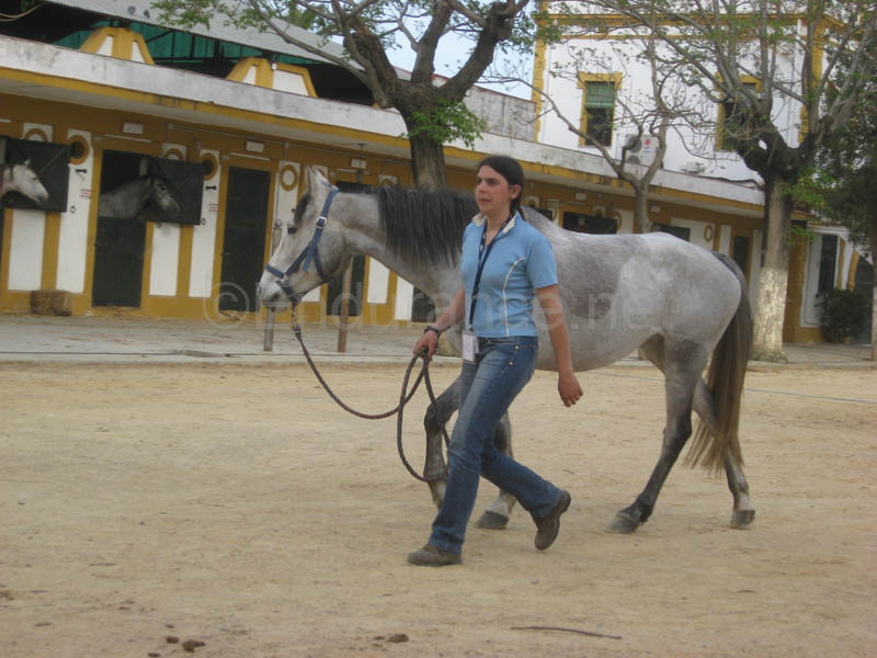 0903TDAA_066B