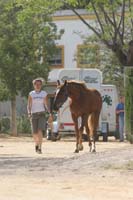 0903TDAA_037