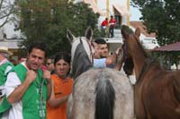 0903TDAA_054