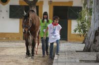 0903TDAA_061