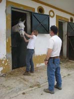 0903TDAA_062E
