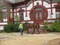 0903TDAA_065B