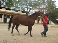 0903TDAA_066A