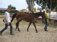 0903TDAA_066D