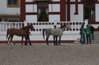 0903TDAA_067