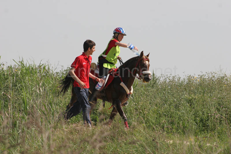 0903TDAA_184