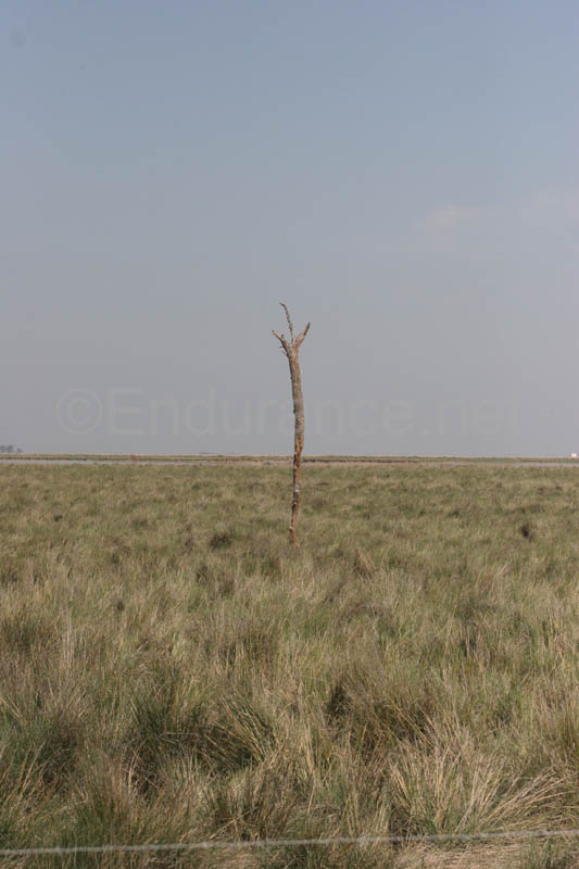 0903TDAA_191