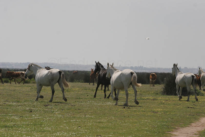 0903TDAA_195