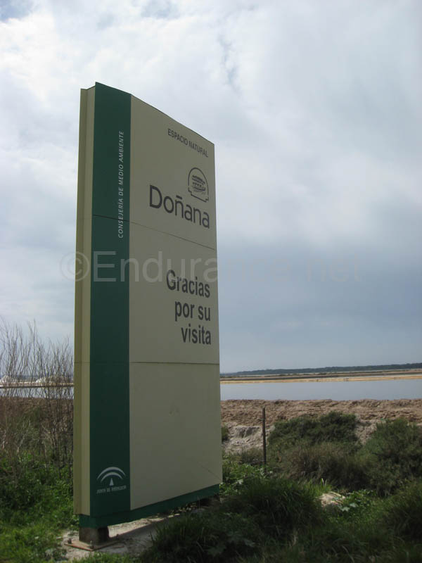 0903TDAA_202A