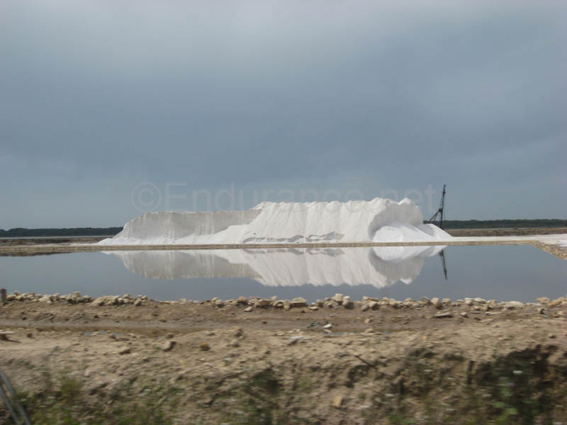 0903TDAA_202D