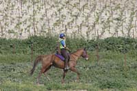 0903TDAA_144