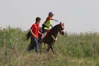 0903TDAA_184