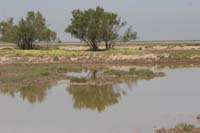 0903TDAA_192