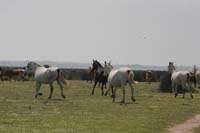 0903TDAA_195