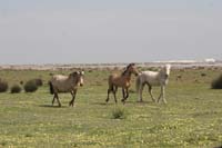 0903TDAA_197