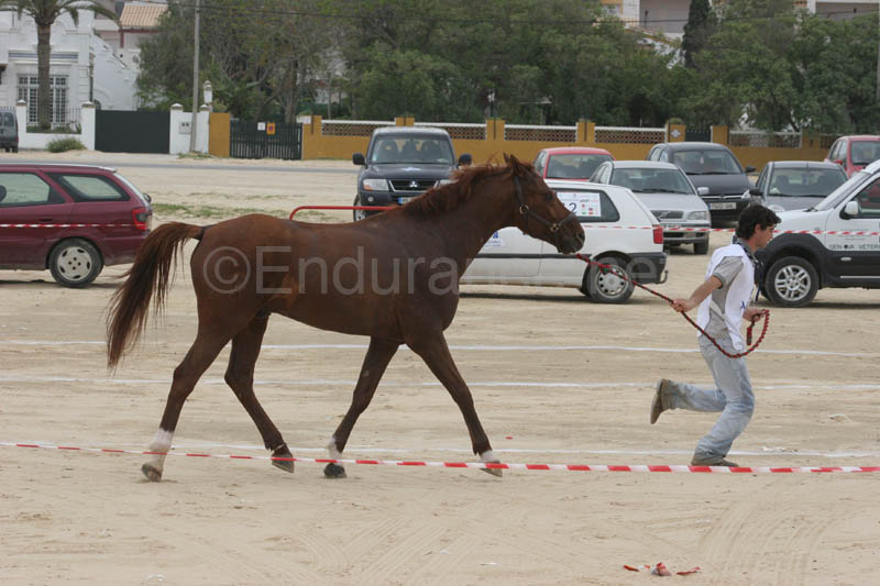 0903TDAA_247