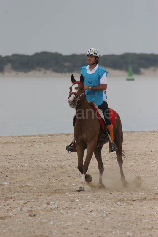 0903TDAA_267