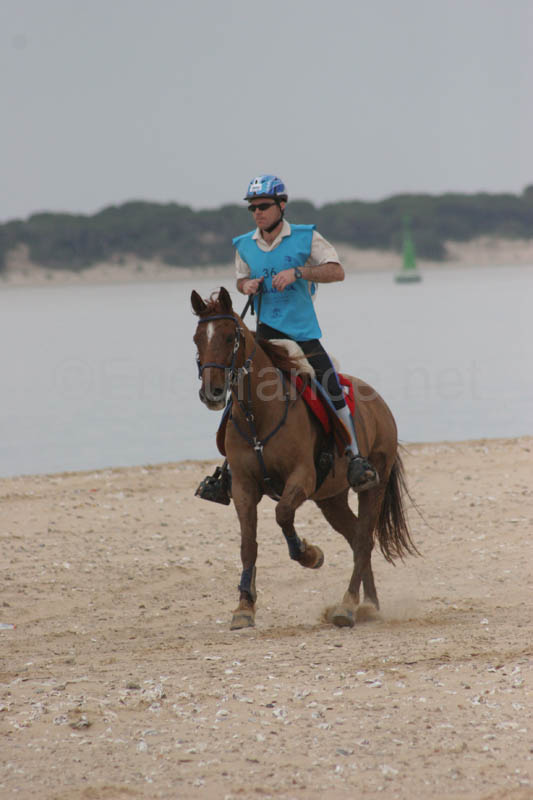 0903TDAA_269