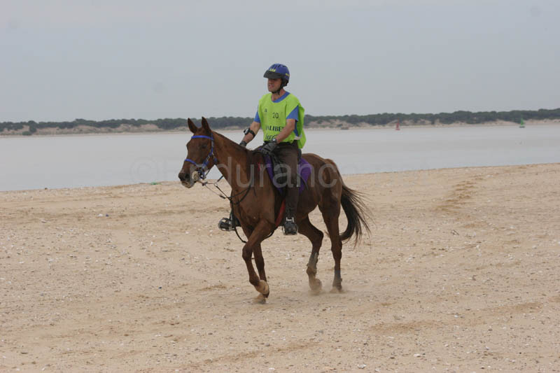 0903TDAA_277