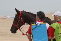 0903TDAA_243