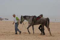 0903TDAA_253