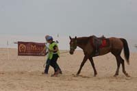 0903TDAA_254