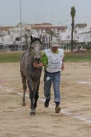 0903TDAA_264