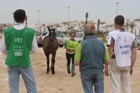 0903TDAA_265