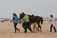 0903TDAA_271