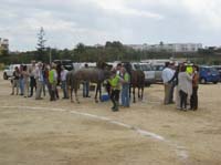 0903TDAA_273D