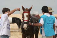 0903TDAA_278