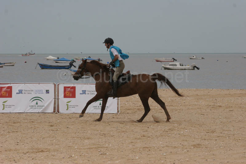 0903TDAA_319