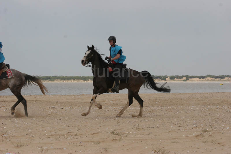 0903TDAA_325