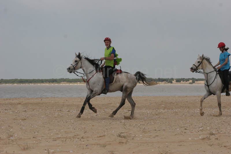 0903TDAA_326