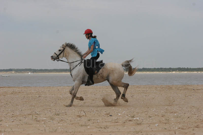 0903TDAA_329